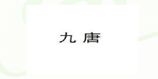 九唐品牌logo