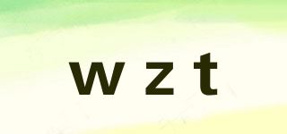 wzt/wzt品牌logo