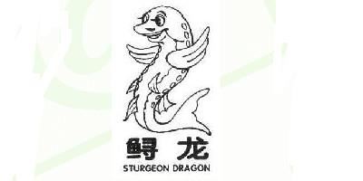 鲟龙/Sturgeon Dragon 