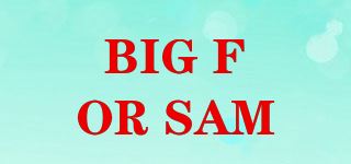 BIG FOR SAM/BIG FOR SAM 