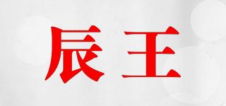 辰王品牌logo