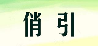 俏引品牌logo