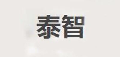 泰智品牌logo