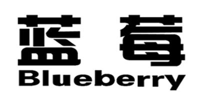 蓝莓/Blueberry品牌logo