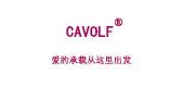 CAVOLF/CAVOLF 