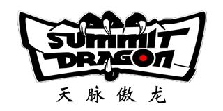 天脉傲龙/SUMMIT DRAGON品牌logo