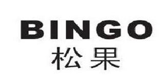 松果/BINGO 