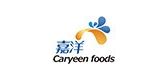 嘉洋/Caryeen foods 