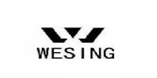 伟之英/Wesing 