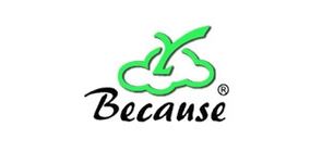 BECAUSE/BECAUSE品牌logo