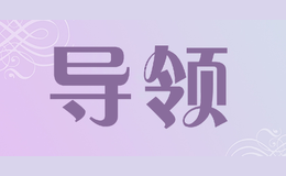 导领品牌logo