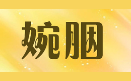 婉胭品牌logo