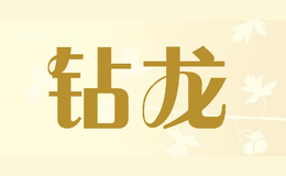 钻龙品牌logo