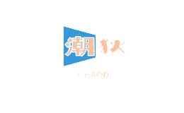 潮狄品牌logo