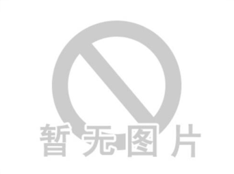 奇圣品牌logo